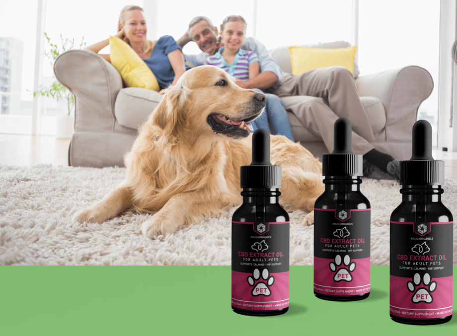 Pet Care - CBD Oil Extracts