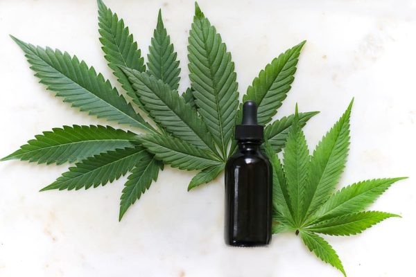 Hemp and and CBD Oil Comparisons