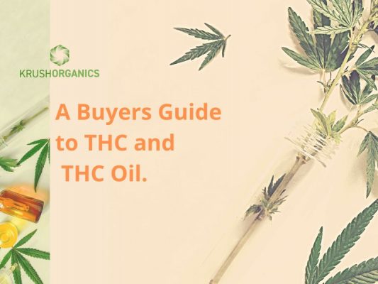 A Buyers Guide to THC and THC Oil