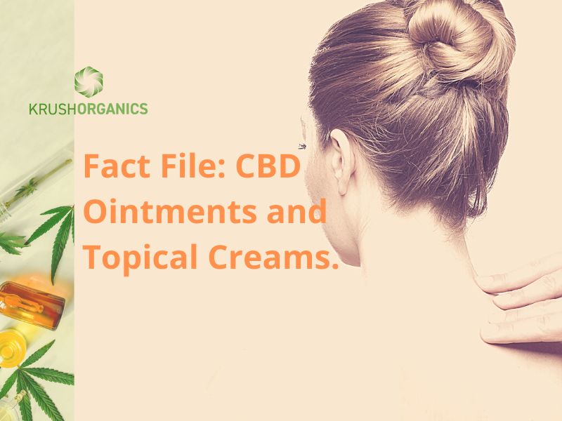 Fact File CBD Ointments and Topical Creams