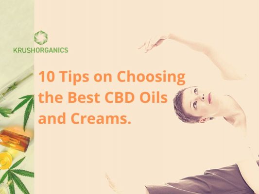 10 Tips on Choosing the Best CBD Oils and Creams