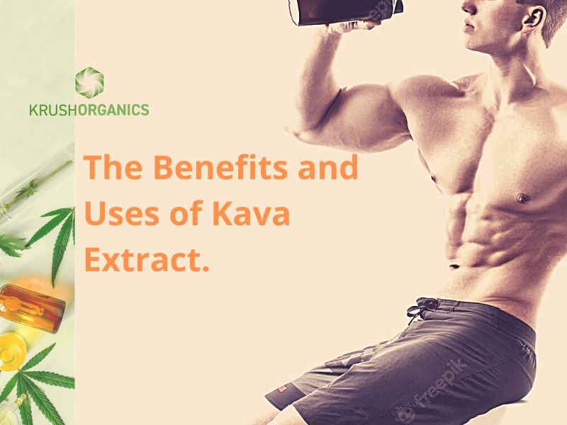 Kava Extract Australia Uses and Benefits