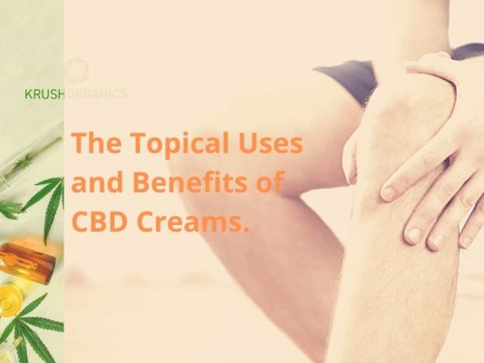 The Topical Uses and Benefits of CBD Creams.
