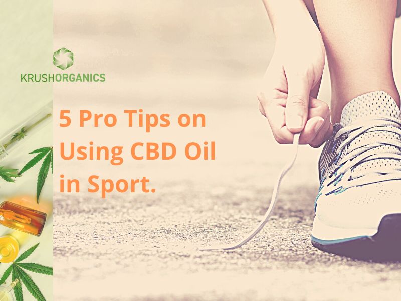 5 Pro Tips on Using CBD Oil in Sports